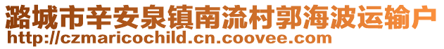 潞城市辛安泉鎮(zhèn)南流村郭海波運(yùn)輸戶