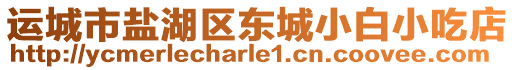 運(yùn)城市鹽湖區(qū)東城小白小吃店