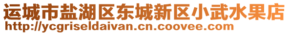 運城市鹽湖區(qū)東城新區(qū)小武水果店