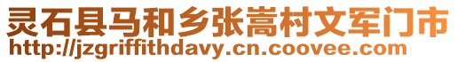 灵石县马和乡张嵩村文军门市