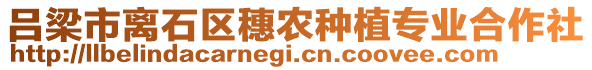 呂梁市離石區(qū)穗農(nóng)種植專業(yè)合作社