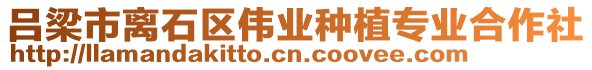 呂梁市離石區(qū)偉業(yè)種植專業(yè)合作社