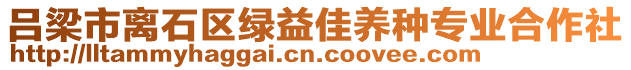 呂梁市離石區(qū)綠益佳養(yǎng)種專業(yè)合作社