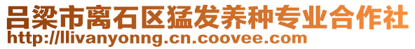 呂梁市離石區(qū)猛發(fā)養(yǎng)種專業(yè)合作社