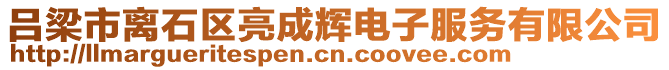 呂梁市離石區(qū)亮成輝電子服務(wù)有限公司