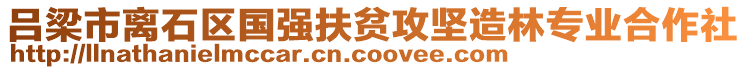 吕梁市离石区国强扶贫攻坚造林专业合作社