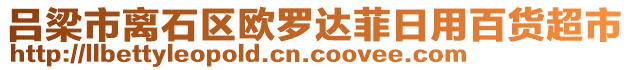 呂梁市離石區(qū)歐羅達(dá)菲日用百貨超市