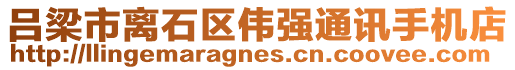 呂梁市離石區(qū)偉強(qiáng)通訊手機(jī)店