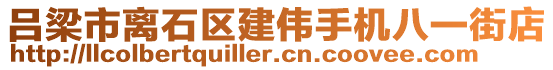 呂梁市離石區(qū)建偉手機(jī)八一街店