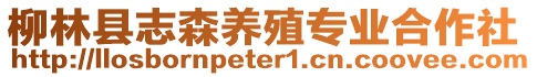 柳林縣志森養(yǎng)殖專業(yè)合作社