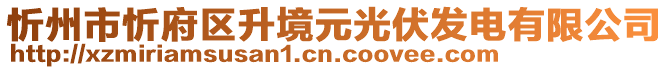 忻州市忻府区升境元光伏发电有限公司