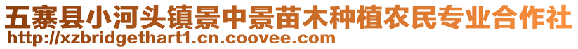 五寨县小河头镇景中景苗木种植农民专业合作社