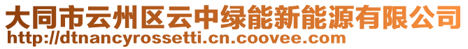 大同市云州區(qū)云中綠能新能源有限公司