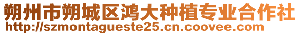 朔州市朔城區(qū)鴻大種植專業(yè)合作社