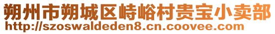 朔州市朔城區(qū)峙峪村貴寶小賣部