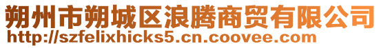 朔州市朔城区浪腾商贸有限公司