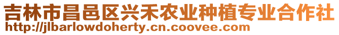 吉林市昌邑區(qū)興禾農(nóng)業(yè)種植專業(yè)合作社