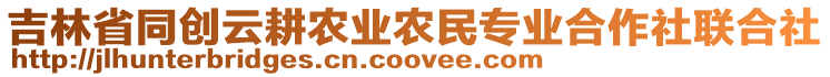 吉林省同創(chuàng)云耕農(nóng)業(yè)農(nóng)民專業(yè)合作社聯(lián)合社