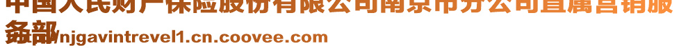 中國(guó)人民財(cái)產(chǎn)保險(xiǎn)股份有限公司南京市分公司直屬營(yíng)銷服
務(wù)部