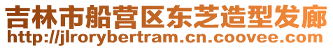 吉林市船營區(qū)東芝造型發(fā)廊