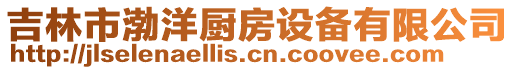 吉林市渤洋廚房設備有限公司