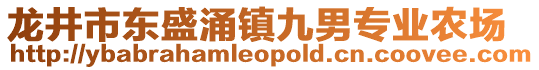 龙井市东盛涌镇九男专业农场