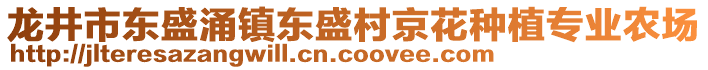 龍井市東盛涌鎮(zhèn)東盛村京花種植專業(yè)農場