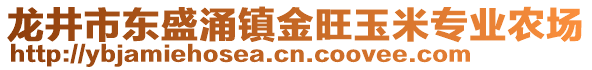 龙井市东盛涌镇金旺玉米专业农场