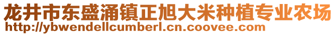 龙井市东盛涌镇正旭大米种植专业农场