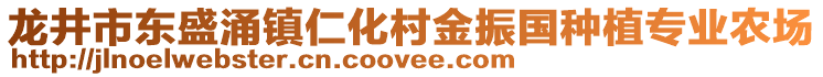 龙井市东盛涌镇仁化村金振国种植专业农场