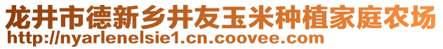 龍井市德新鄉(xiāng)井友玉米種植家庭農(nóng)場