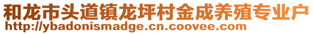 和龙市头道镇龙坪村金成养殖专业户