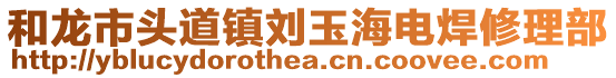 和龍市頭道鎮(zhèn)劉玉海電焊修理部