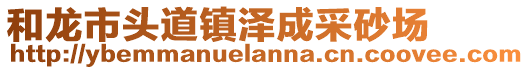 和龙市头道镇泽成采砂场