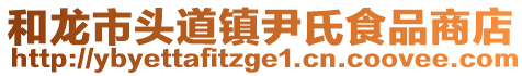 和龙市头道镇尹氏食品商店