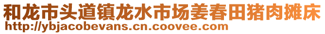 和龍市頭道鎮(zhèn)龍水市場(chǎng)姜春田豬肉攤床