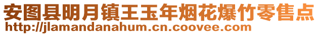 安图县明月镇王玉年烟花爆竹零售点