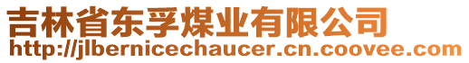 吉林省東孚煤業(yè)有限公司