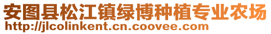 安图县松江镇绿博种植专业农场