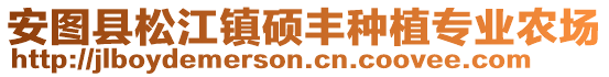 安圖縣松江鎮(zhèn)碩豐種植專業(yè)農(nóng)場