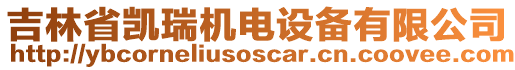 吉林省凱瑞機(jī)電設(shè)備有限公司