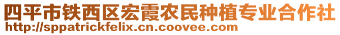 四平市鐵西區(qū)宏霞農(nóng)民種植專業(yè)合作社