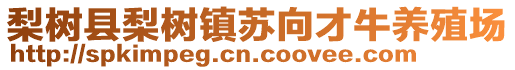 梨树县梨树镇苏向才牛养殖场