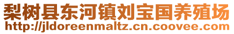 梨樹縣東河鎮(zhèn)劉寶國(guó)養(yǎng)殖場(chǎng)