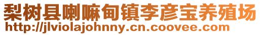 梨樹縣喇嘛甸鎮(zhèn)李彥寶養(yǎng)殖場