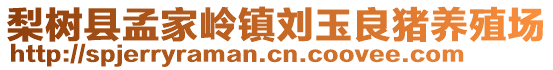 梨樹縣孟家?guī)X鎮(zhèn)劉玉良豬養(yǎng)殖場