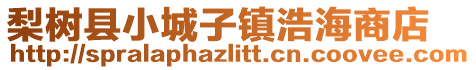 梨樹縣小城子鎮(zhèn)浩海商店