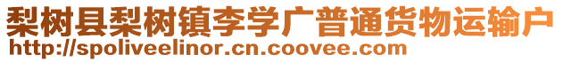 梨樹(shù)縣梨樹(shù)鎮(zhèn)李學(xué)廣普通貨物運(yùn)輸戶