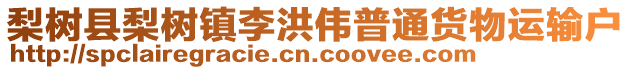 梨樹縣梨樹鎮李洪偉普通貨物運輸戶