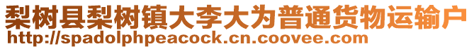 梨樹縣梨樹鎮(zhèn)大李大為普通貨物運(yùn)輸戶